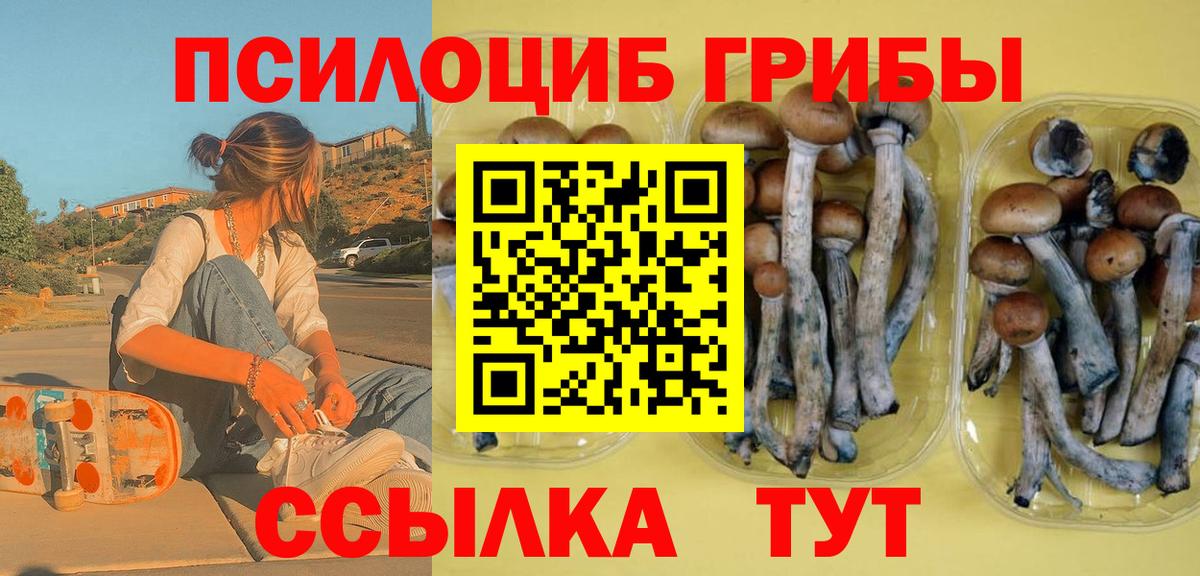 Псилоцибиновые грибы Psilocybe  где найти   Отрадный  Вход с VPN 